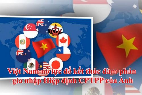 Việt Nam nỗ lực để kết thúc đàm phán gia nhập Hiệp định CPTPP của Anh