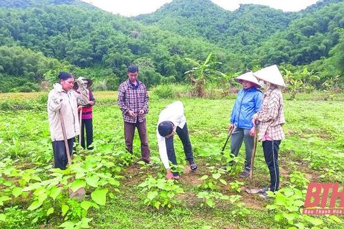 Hiệu quả công tác giảm nghèo ở huyện Quan Hóa