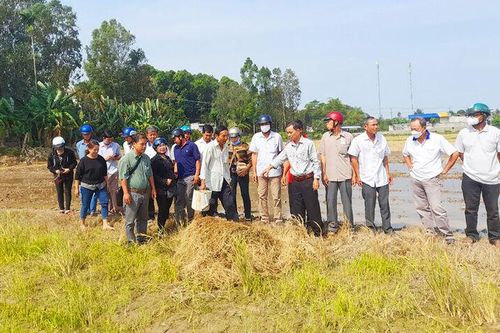 Tập huấn phương pháp canh tác lúa thân thiện với môi trường