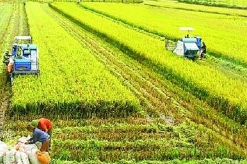 Nhiều vấn đề cần giải đáp về mô hình ngân hàng đất nông nghiệp