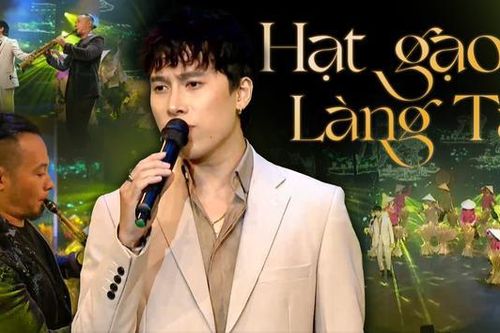 Hạt gạo làng ta