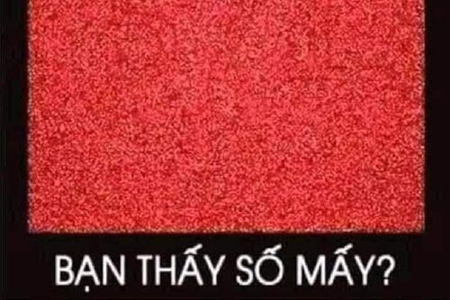 Bạn nhìn thấy những con số nào?