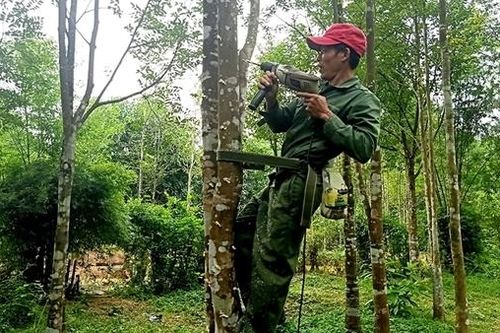 Về nơi thủ phủ dó trầm