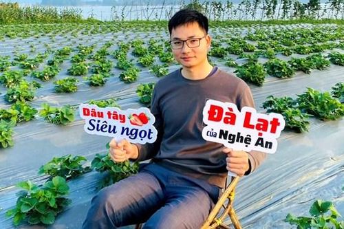 Vườn dâu tây của chàng trai xứ Nghệ
