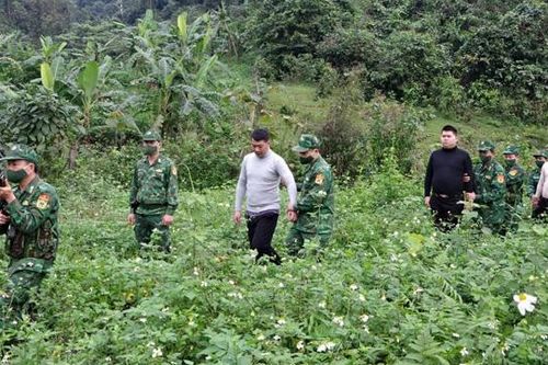 Hà Tĩnh: Triệt phá 'sóng ngầm' trên đỉnh Keo Nưa