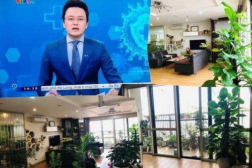 Căn hộ ngập cây xanh của BTV Hữu Bằng Thời sự 19h