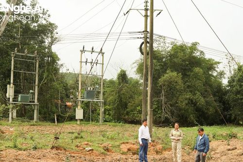 Xã miền núi Nghệ An chuyển đổi cây trồng để đảm bảo an toàn lưới điện