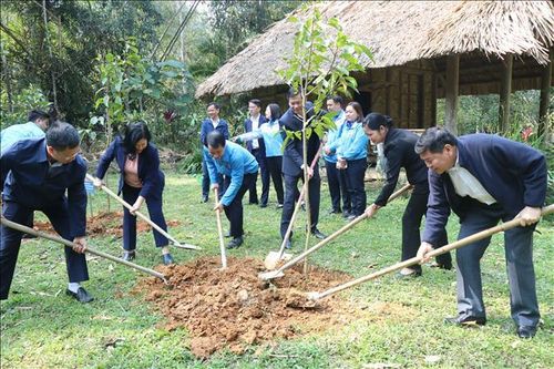 Bắc Kạn: Khởi động Tháng thanh niên và Tết trồng cây 'Đời đời nhớ ơn Bác Hồ'