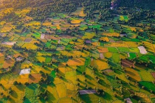 Cánh đồng độc đáo nhất miền Tây đẹp như tranh vẽ với các thửa ruộng màu sắc