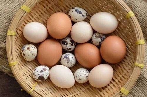 Trứng gà, trứng vịt, trứng cút trứng nào tốt hơn cho trí não bé: Mẹ thông thái đọc để cho con ăn đúng