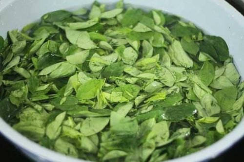Vò nát rau ngót trước khi nấu là sai lầm: Rau mất chất, món ăn kém thơm ngon, mẹ thông thái chớ bỏ qua