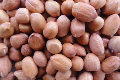 Những người cần thận trọng khi ăn đậu phộng