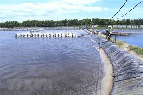 Xây dựng nông nghiệp bền vững, thích ứng trước mọi rủi ro
