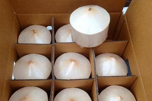 Đứng thứ 4 về tổng giá trị trên thị trường dừa thế giới, xuất khẩu dừa hướng mốc 1 tỷ USD