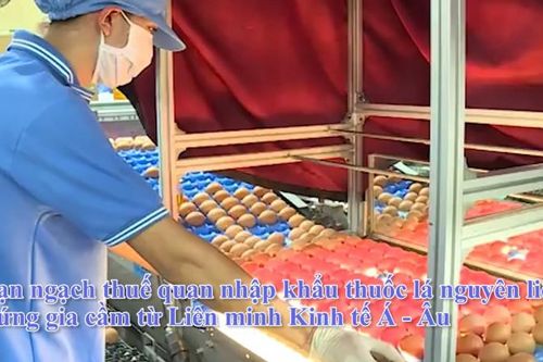 Hạn ngạch thuế quan nhập khẩu thuốc lá nguyên liệu, trứng gia cầm từ Liên minh Kinh tế Á - Âu