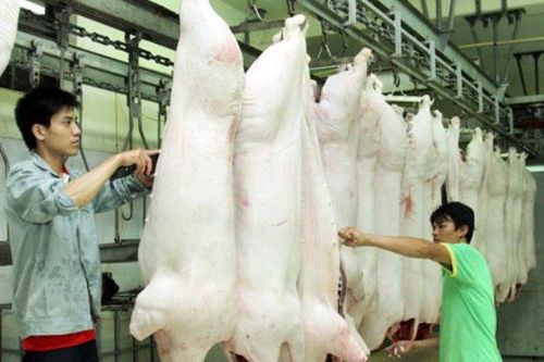 Hà Nội: Ít nhất 50% cơ sở giết mổ gia súc, gia cầm tập trung đi vào hoạt động năm 2025