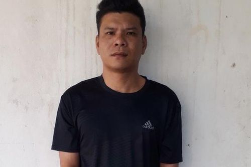 Đồng Nai: Tạm giữ nghi can thuê 10 ô tô rồi mang đi cầm cố