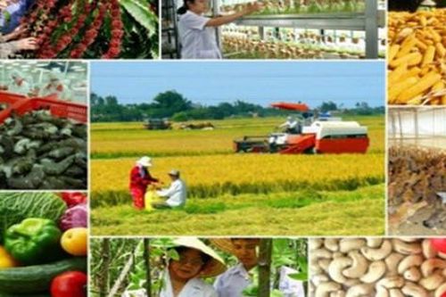 Huy động mọi nguồn lực xã hội tham gia xây dựng nông thôn mới