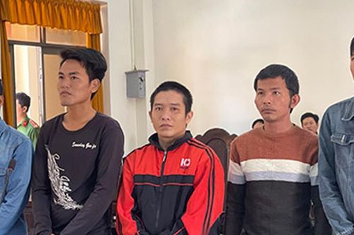 Tòa Phúc thẩm giảm án cho 6 bị cáo phá rừng Phú Quốc từ 1-2 năm tù