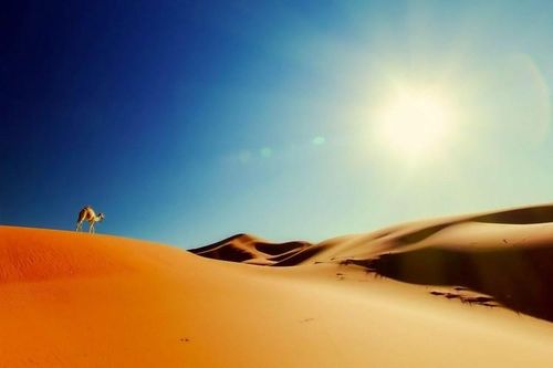 Nếu lắp pin mặt trời phủ kín sa mạc Sahara, điều gì sẽ xảy ra?