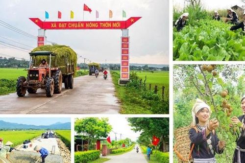 Chính phủ sẽ hỗ trợ xây dựng nông thôn mới phù hợp với quá trình chuyển dịch cơ cấu kinh tế