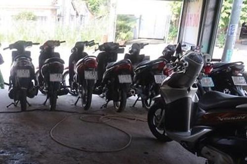 Người phụ nữ bị khởi tố vì 'không tố giác tội phạm'