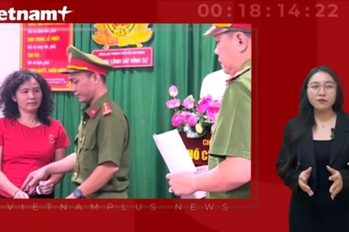 Vì sao nhà báo Hàn Ni từ bị hại thành bị can?