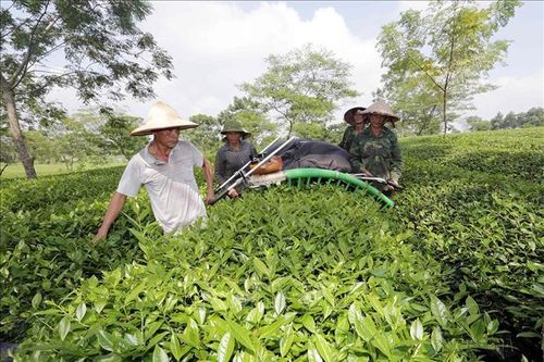 Coi người dân là trung tâm - 'Chìa khóa' thành công trong chương trình giảm nghèo