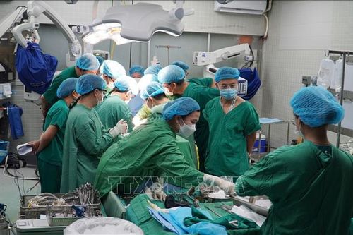 Các bác sĩ BV Chợ Rẫy, BV Việt Đức nỗ lực ghép tạng xuyên Việt
