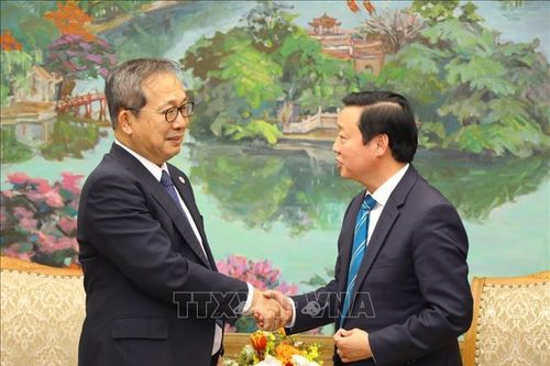 Việt Nam sẵn sàng hợp tác cùng Nhật Bản thực hiện các mục tiêu toàn cầu