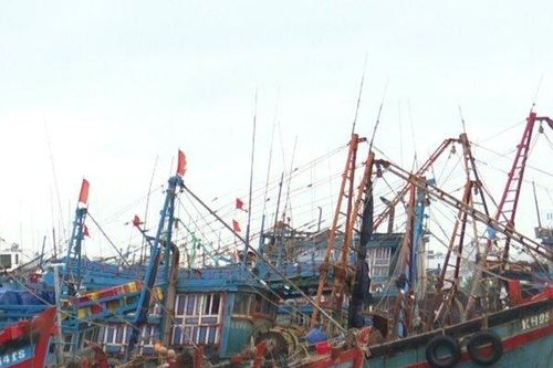 Nỗi lo thiếu hụt nguồn lao động nghề biển ở tỉnh Khánh Hòa