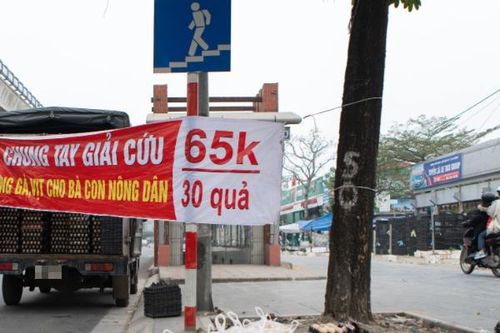 VIPA: Cảnh giác với chào mời 'giải cứu' trứng gia cầm