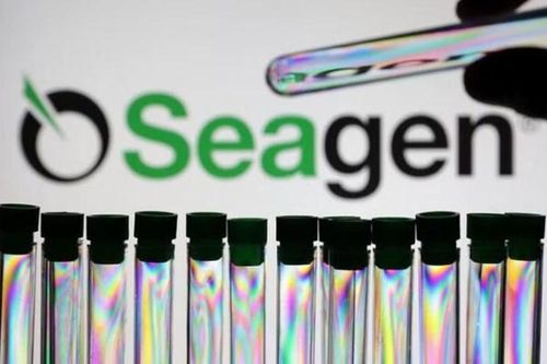 Pfizer bắt đầu đàm phán mua lại hãng dược phẩm Seagen