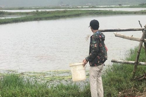 Vấp ngã và hoàn lương