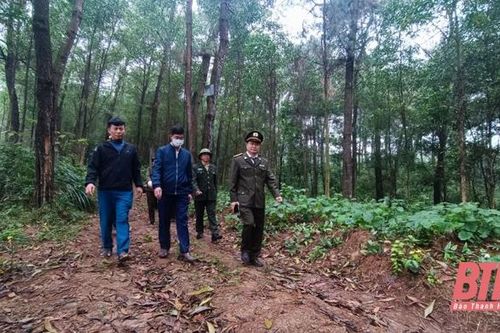 Ban Quản lý rừng phòng hộ Như Thanh nâng cao hiệu quả quản lý, bảo vệ và phát triển rừng bền vững