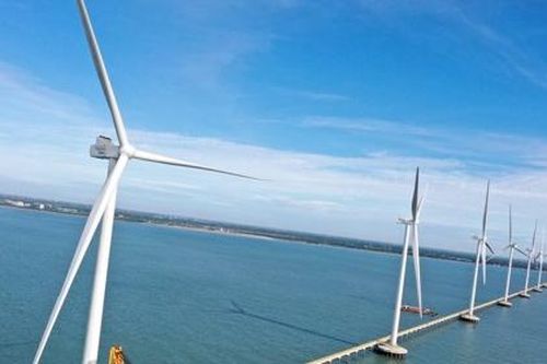 Công ty Cổ phần Phát triển Điện Trà Vinh đạt 36 tỷ đồng