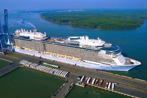 Siêu tàu du lịch trong Top 10 thế giới đưa 3.800 khách đến Việt Nam