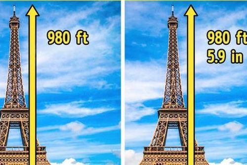 8 sự thật ngẫu nhiên về vạn vật xung quanh chúng ta, tưởng quen thuộc lắm nhưng 90% chẳng hề hay biết