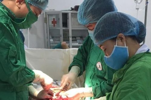 Bác sĩ Vang đuổi 'ma rừng'