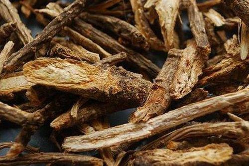 4 bài thuốc phòng và trị hen phế quản