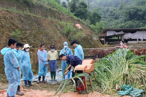 Phân luồng, định hướng nghề cho học sinh vùng cao