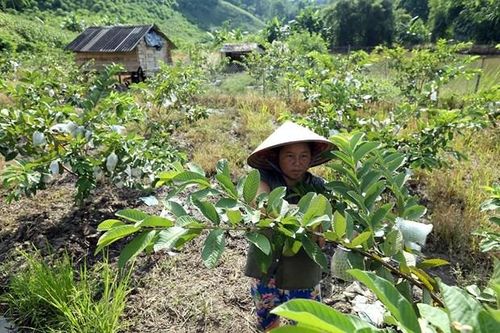 Việt Nam chia sẻ thành công về giảm nghèo