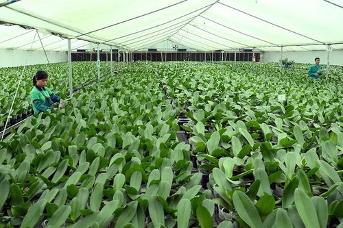 9 nhóm giải pháp xây dựng nông thôn mới