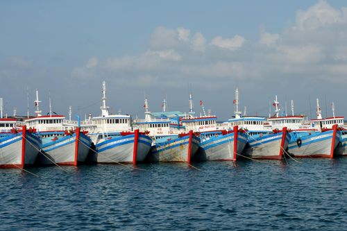 Bình Thuận: Hỗ trợ tàu cá bị cạn kiệt lương thực do thời tiết xấu trên biển