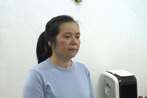Khởi tố nữ giám đốc đưa người trốn ra nước ngoài bằng hình thức đi du lịch