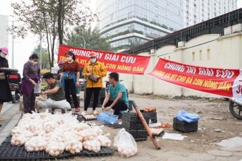 Đề nghị không tiêu thụ trứng gà được bán dưới danh nghĩa giải cứu
