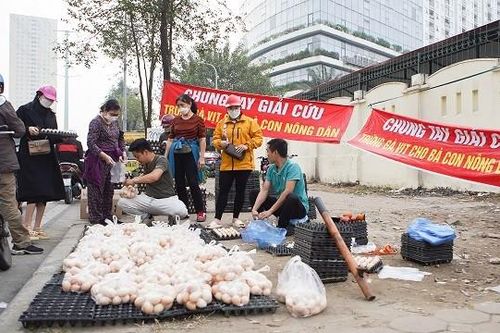 Cảnh giác với trứng gia cầm gắn mác 'giải cứu'