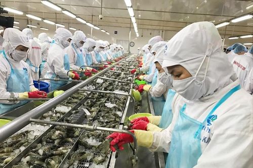 Thủ tướng yêu cầu đánh giá thông tin doanh nghiệp buộc phải bán cho nước ngoài vì 'đói vốn'