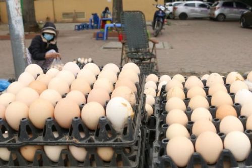Hiệp hội Gia cầm khuyến cáo không tiêu thụ trứng 'giải cứu' không rõ nguồn gốc