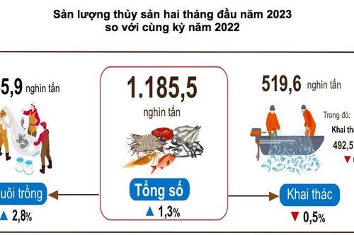 Nuôi trồng, khai thác thủy sản tháng Hai tăng nhờ thời tiết thuận lợi